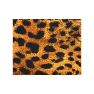 Personalized Cheetah Gallery Wrapped Canvas