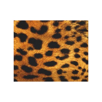 Personalized Cheetah Gallery Wrapped Canvas