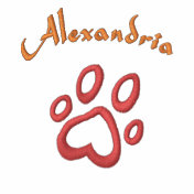 Personalized Chocolate Labrador Friendly Cartoon Embroidered Hoody