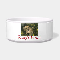 Personalized Dog Food Bowl pet bowls