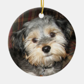 Dog First Christmas Ornaments & Dog First Christmas Ornament Designs