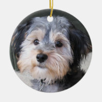 Personalized Dog Photo Frame - DOUBLE-SIDED Double-Sided Ceramic Round Christmas Ornament