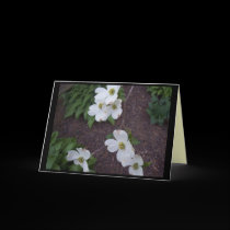 Personalized Dogwood Flower Card cards