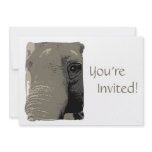 Personalized Elephant Day at the Zoo Party Personalized Invite