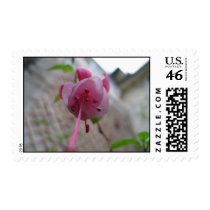 Personalized Exotic Fushia US Postage Stamp