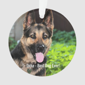 german shepherd memorial gifts