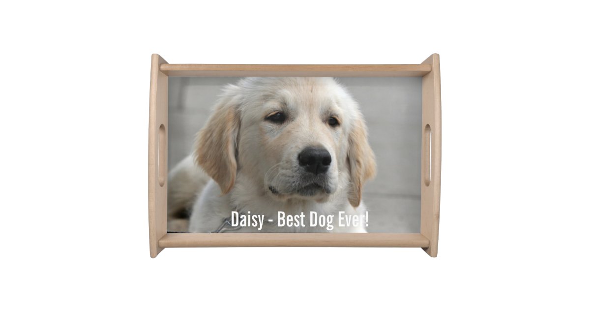 Personalized Golden Retriever Dog Photo And Name Serving Platter