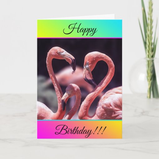 Personalized Happy Birthday Flamingos Card Zazzle