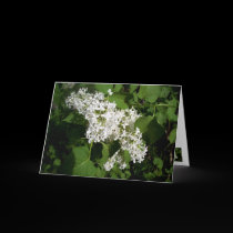 Personalized Mother's Day Lilac Card cards