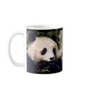 Personalized Mug Sweet PANDA MUNCHING ON BAMBOO