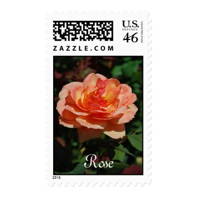 Personalized Peach Rose Stamp