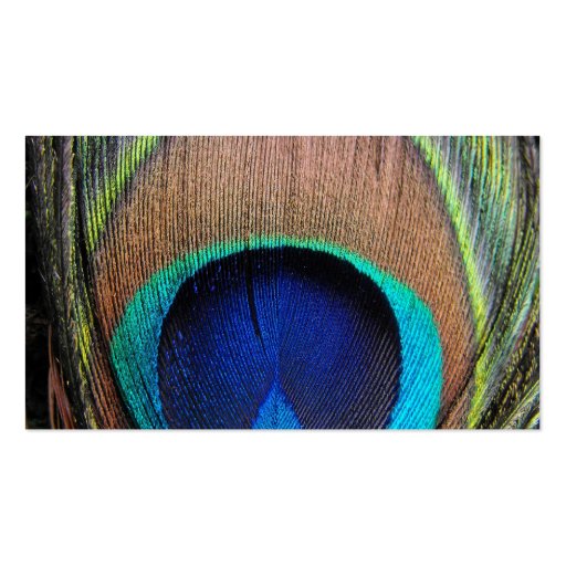 Personalized Peacock Feather Business Card (back side)