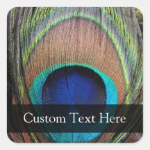 Personalized Peacock Feather Square Sticker