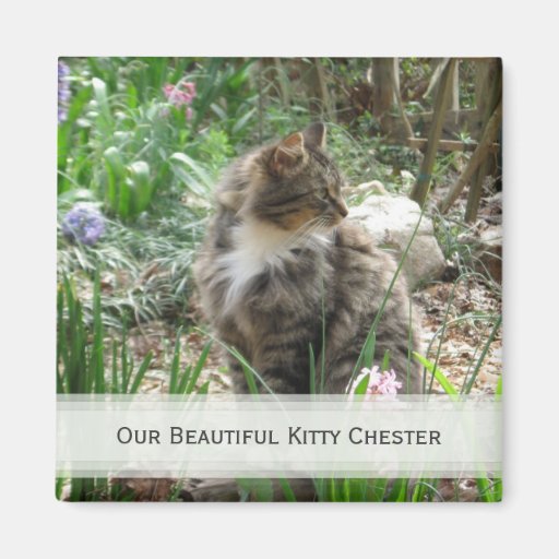 Personalized Pet Magnets: Add Your Picture