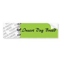Personalized Pet Photo Bumper Stickers