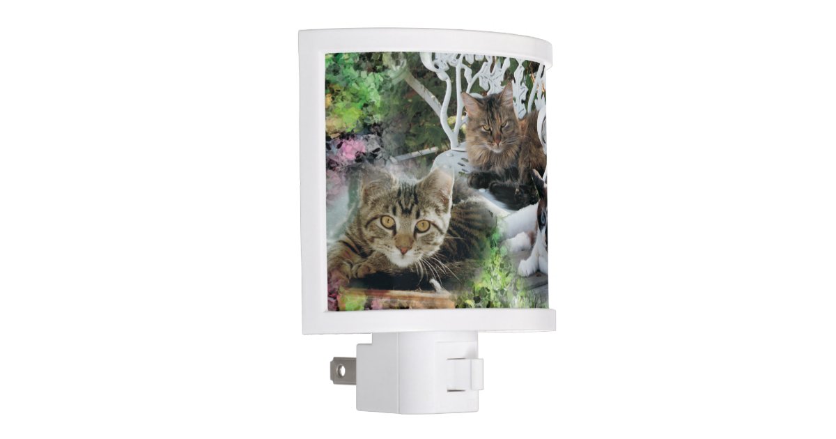 personalized photo pet night light Zazzle