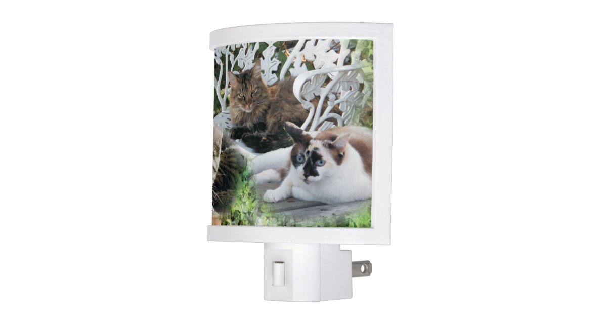 personalized photo pet night light Zazzle