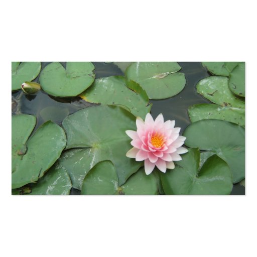 Personalized Pink/Green Lily Pad Business Card Templates (back side)
