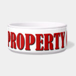 Personalized "Property of" Your Pet's Name Dog Food Bowls