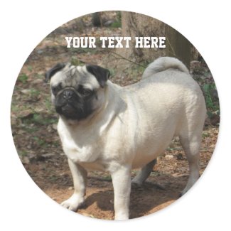 Personalized Pug Sticker sticker