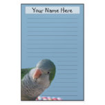Personalized Quaker Parakeet Stationery