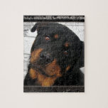Personalized rottweiler puzzle