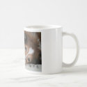 Personalized Sheltie Mug by vabeachmom Personalized Sheltie Mug