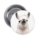 Personalized Snooty Snobby Llama buttons