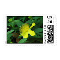 Personalized Yellow Flower US Postage Stamp
