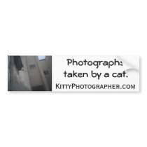 Perspective bumper sticker bumper stickers by KittyPhotographer Perspective bumper sticker bumper stickers