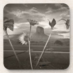Perspective Coaster