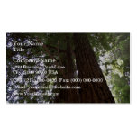 Perspective of the redwoods business card templates