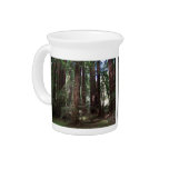 Perspective of the redwoods drink pitchers