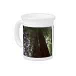 Perspective of the redwoods drink pitchers