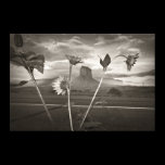 Perspective Stretched Canvas Prints