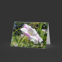 Perspective-With Deepest Sympathy cards