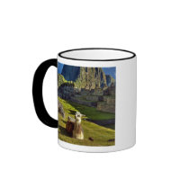 Peru, Andes, Andes Mountains, Machu Picchu, 2 Mug