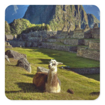Peru, Andes, Andes Mountains, Machu Picchu, 2 Stickers