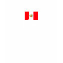 Peru Flag Tshirt by Venezolano Peru Flag Tshirt