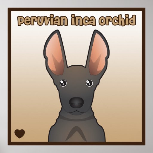 Peruvian Inca Orchid Cartoon Poster | Zazzle