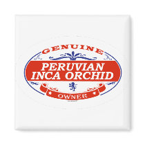 Peruvian Inca Orchid  magnets