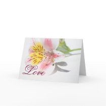 Peruvian Lilly Love Invitation Card