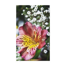Peruvian Lily and gypsophila flower canvas print canvas prints