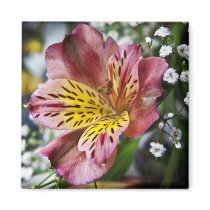 Peruvian Lily and gypsophila flower fridge magnet