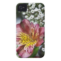 Peruvian Lily and gypsophila flower iPhone 4 Case casemate cases