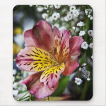Peruvian Lily and gypsophila flower mouse mat mousepads