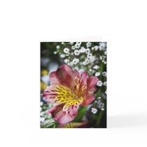Peruvian Lily and gypsophila flower note card cards