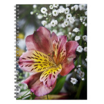 Peruvian Lily and gypsophila flower notebook notebooks