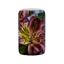 Peruvian Lily flower Blackberry Bold case casemate cases