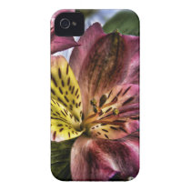 Peruvian Lily flower iPhone 4 4s CaseMate case casemate cases
